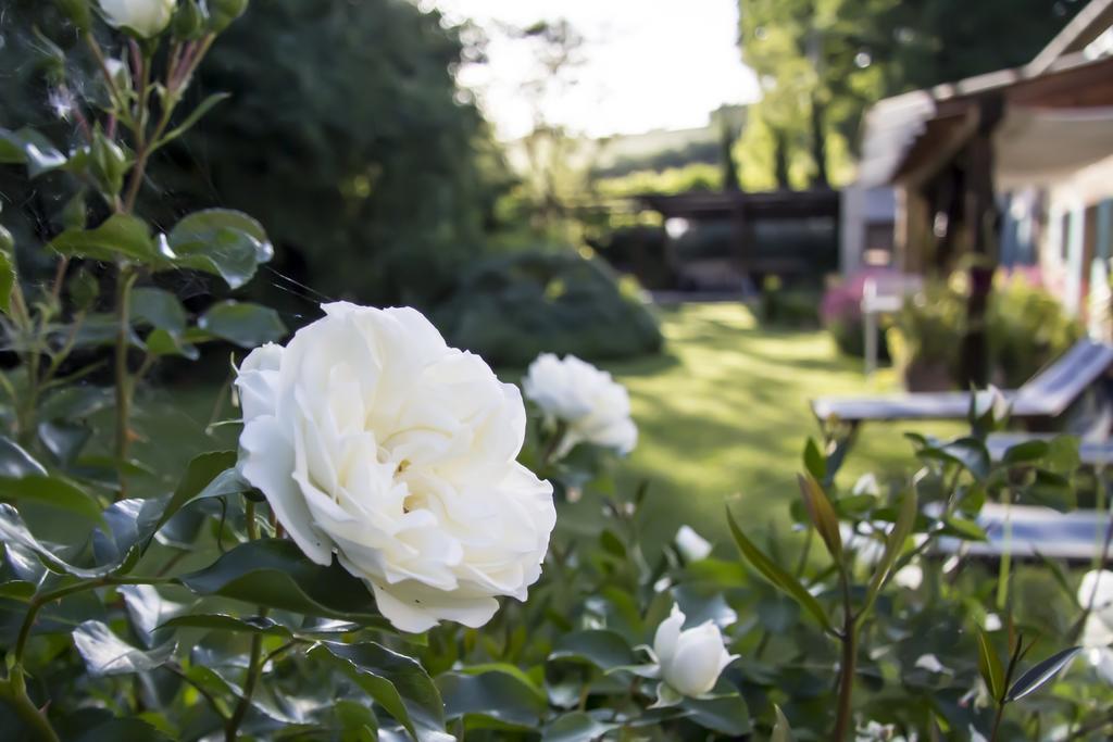 B&B I Fiori Della Cava Pesaro Exterior foto